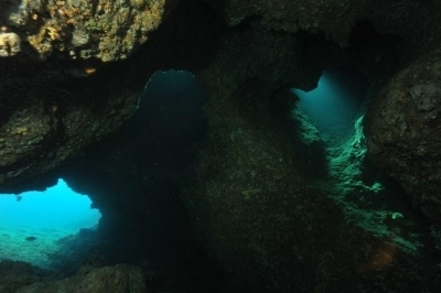 Action Plan on Dark Habitats Action Plan on Dark Habitats