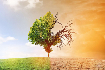 Biodiversité et changements climatiques Biodiversité et changements climatiques