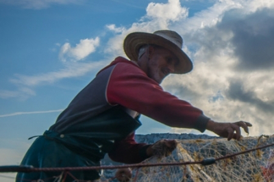 EcAp-MED I EcAp-MED I