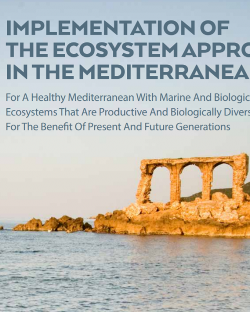 Implementation of the Ecosystem Approach in the Mediterranean Implementation of the Ecosystem Approach in the Mediterranean