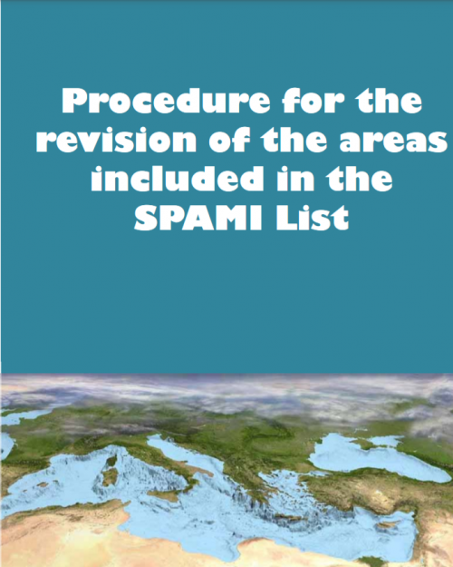 Procedure for the revision of the areas included in the SPAMI list Procedure for the revision of the areas included in the SPAMI list