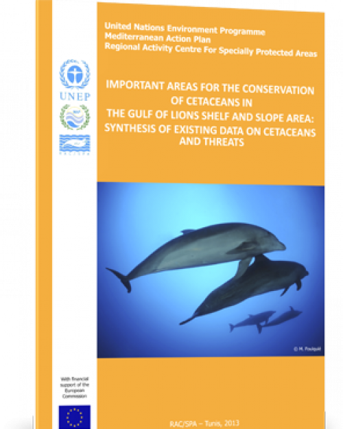Plan d’action pour les cétacés Plan d’action pour les cétacés
