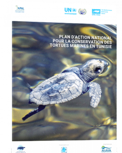 Action Plan on Marine Turtles