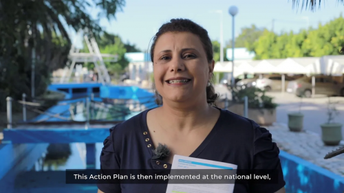 The conservation of marine turtles in Tunisia